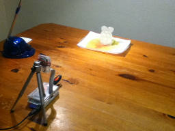 ice-timelapse